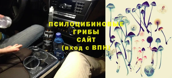 стаф Абинск