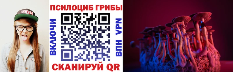 Галлюциногенные грибы Psilocybe  Усть-Катав 